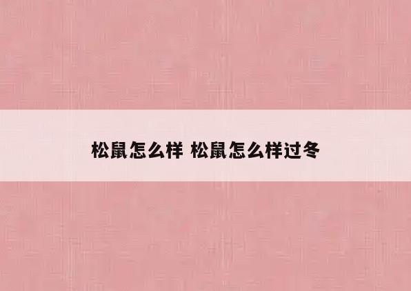 松鼠怎么样 松鼠怎么样过冬