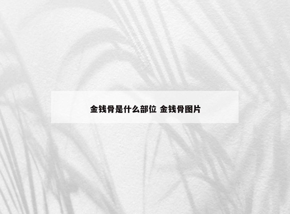 金钱骨是什么部位 金钱骨图片
