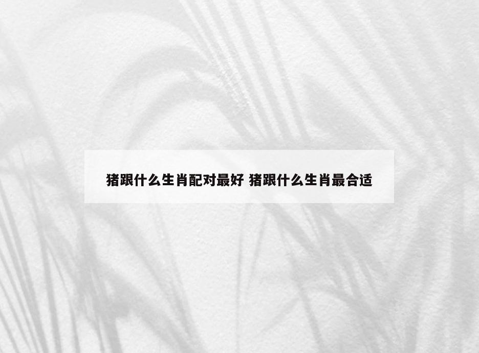 猪跟什么生肖配对最好 猪跟什么生肖最合适
