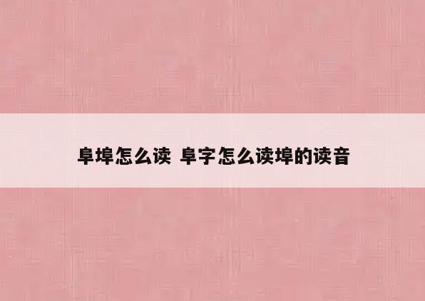 阜埠怎么读 阜字怎么读埠的读音