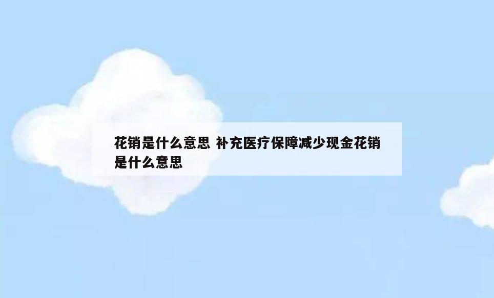 花销是什么意思 补充医疗保障减少现金花销是什么意思