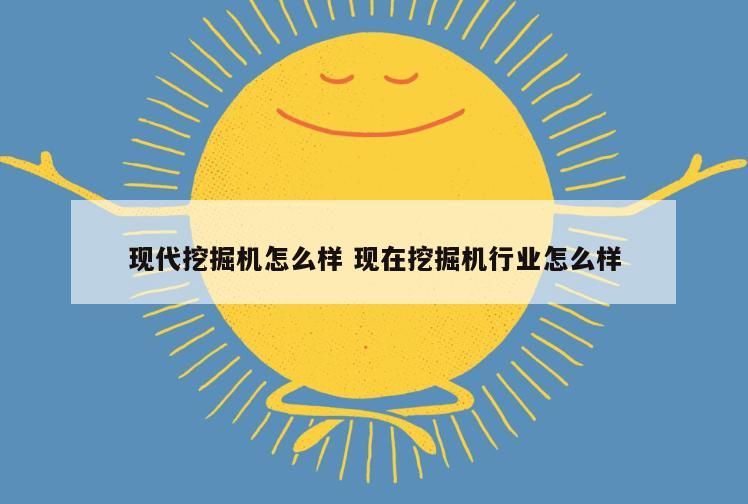 现代挖掘机怎么样 现在挖掘机行业怎么样