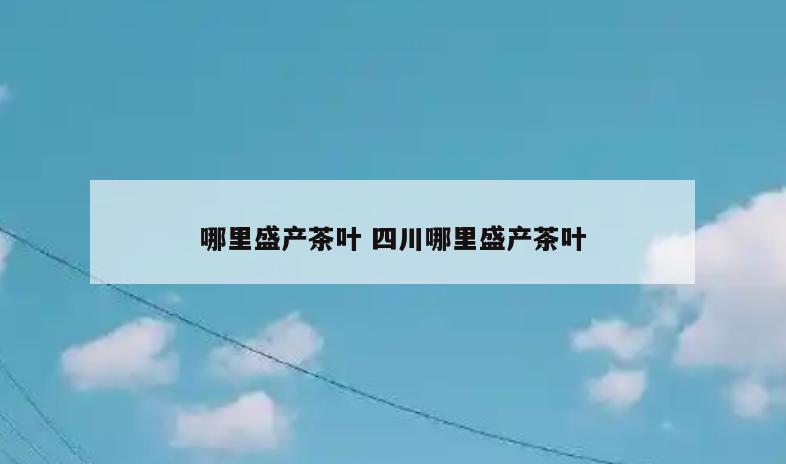哪里盛产茶叶 四川哪里盛产茶叶