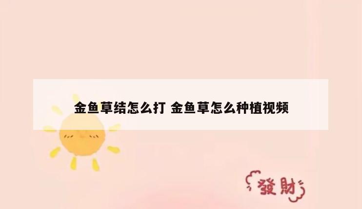 金鱼草结怎么打 金鱼草怎么种植视频