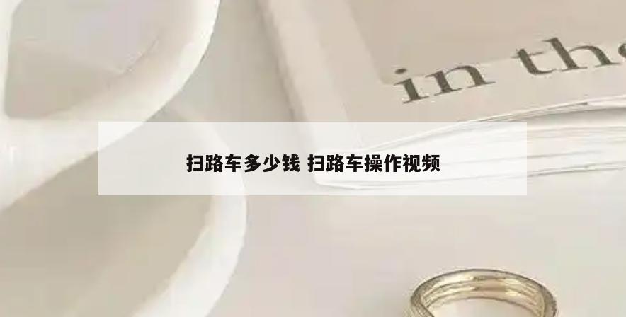 扫路车多少钱 扫路车操作视频