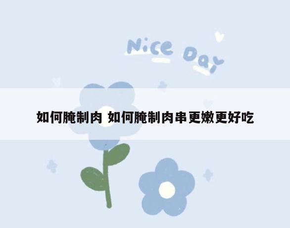 如何腌制肉 如何腌制肉串更嫩更好吃