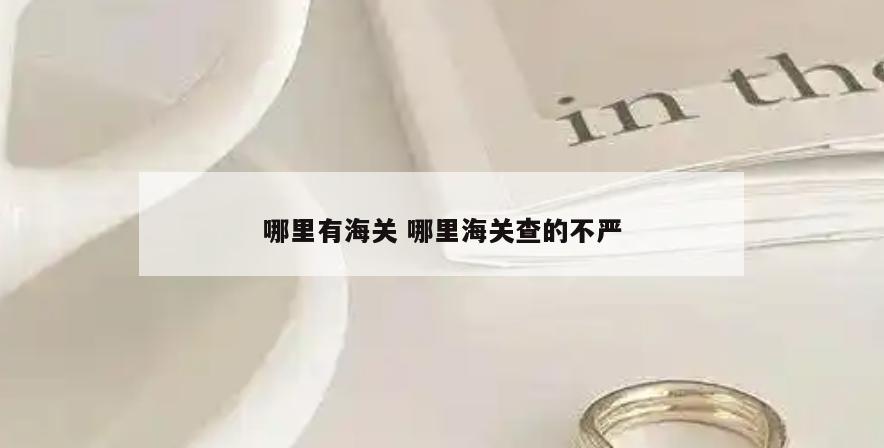 哪里有海关 哪里海关查的不严