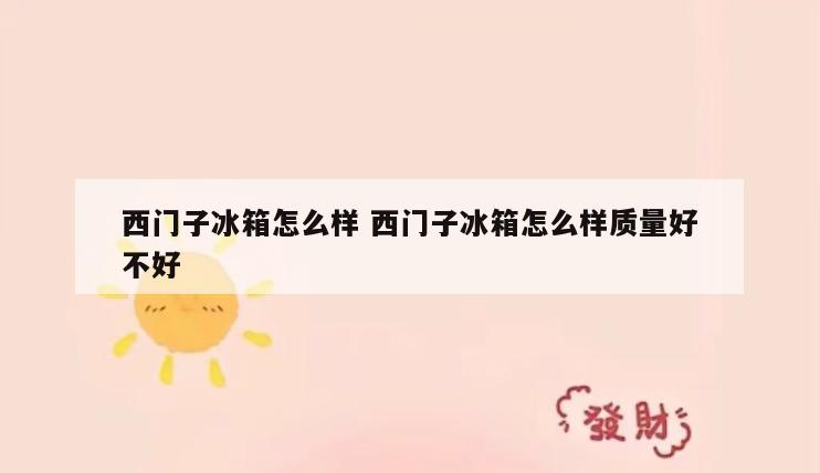 西门子冰箱怎么样 西门子冰箱怎么样质量好不好