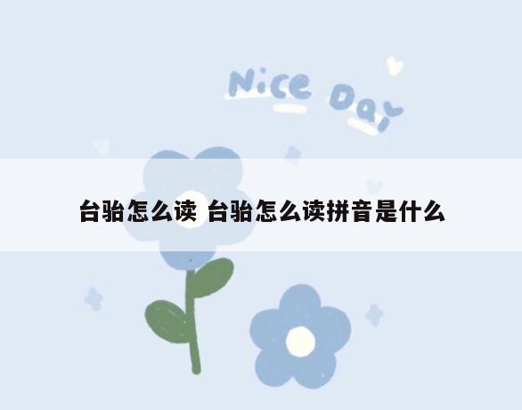 台骀怎么读 台骀怎么读拼音是什么
