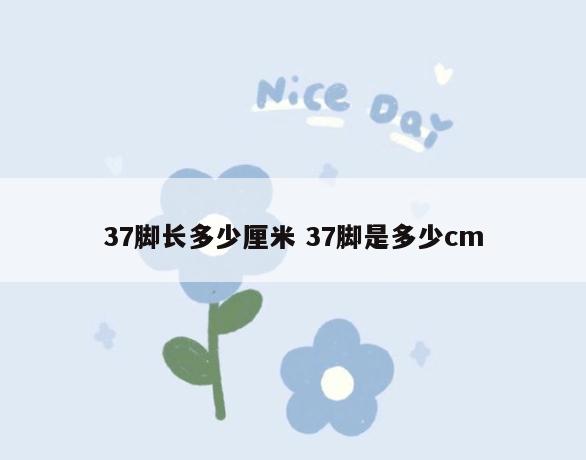37脚长多少厘米 37脚是多少cm